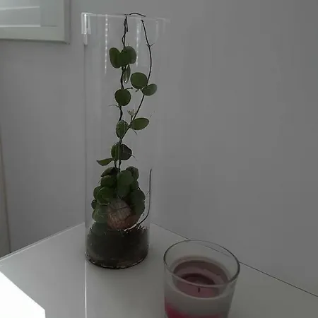 Loft Of *